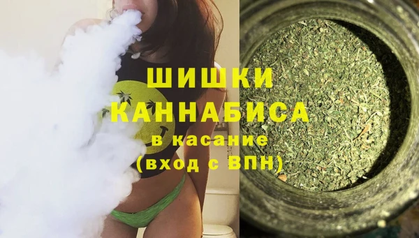 соль ск Каменка