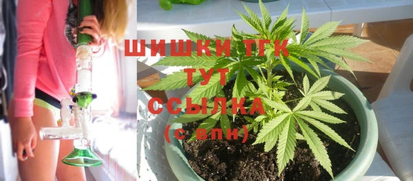 не бодяженный Каменногорск