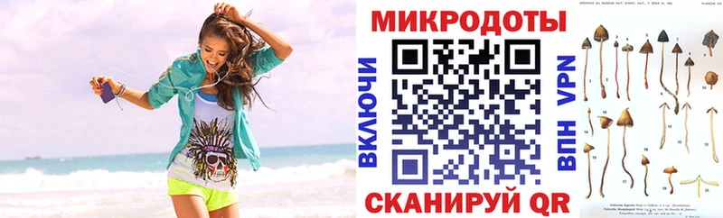 Купить  Заволжск  Галлюциногенные грибы MAGIC MUSHROOMS 